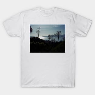 Angel Island T-Shirt